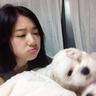 繁殖犬 抑郁
